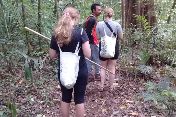 Combine of Tamblingan Waterfall and Twin Lake Tour — photo 1 of 17