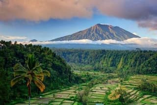 Best bali transport service - custom your own itinerary