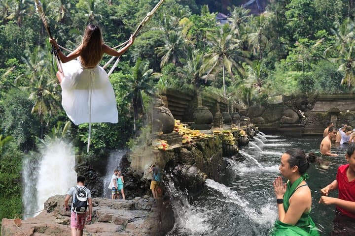 Full day Tour to Best of Ubud with jungle swing — photo 1 of 10
