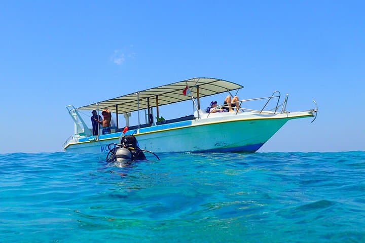 Menjangan island for Certified Scuba Divers full day boat trip, 2 dives + lunch — photo 1 of 6