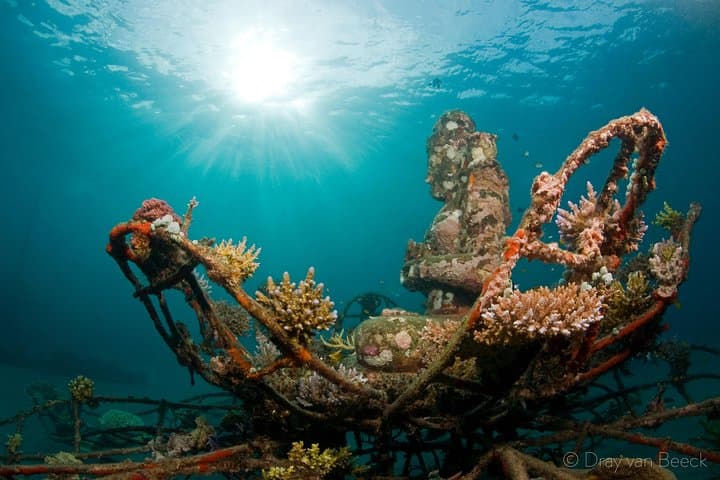 Discover Scuba Diving in Pemuteran at the Biorock site,1 shore dive all included — photo 1 of 9