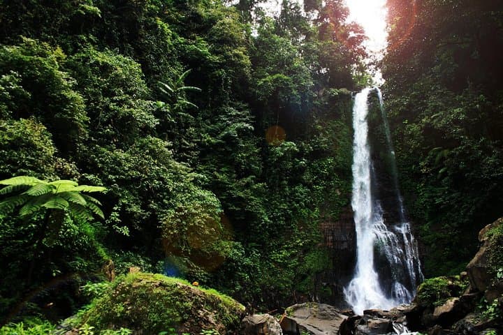 Bali Overnight 2 Days 1 Night: Mt.BATUR KINTAMANI - NORTH BALI LOVINA with HOTEL — photo 1 of 20