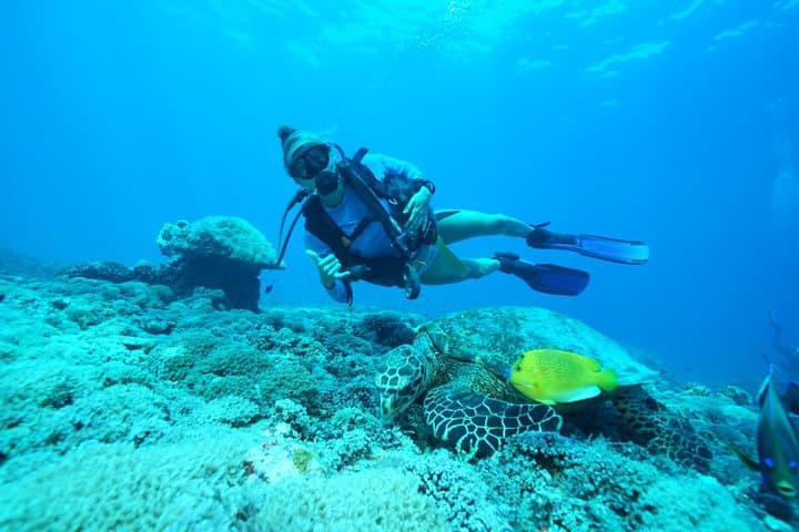 Try Diving in Nusa Lembongan - Penida. For beginners (with 2 ocean dives) — photo 1 of 7
