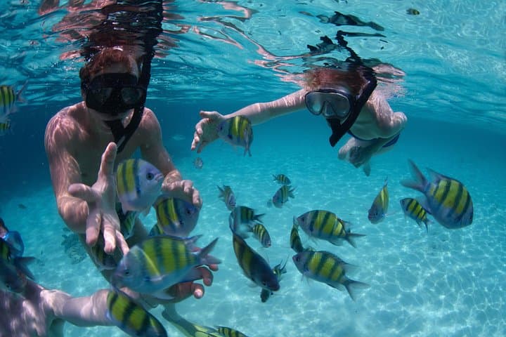 Bali Best SNORKELING at BLUE LAGOON — photo 1 of 7