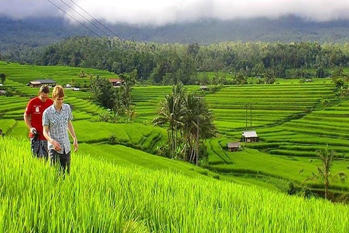 DISCOVER The Beauty of Bali with Private Car Tours — photo 1 of 13