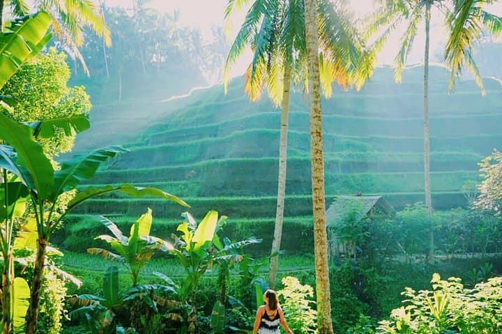 Ubud Tours Package — photo 1 of 7