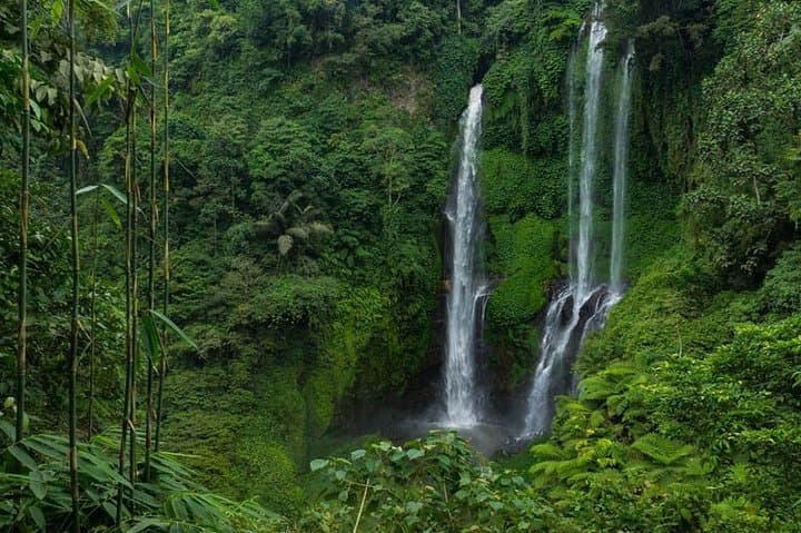 Sekumpul Bali Waterfall Tour — photo 1 of 6