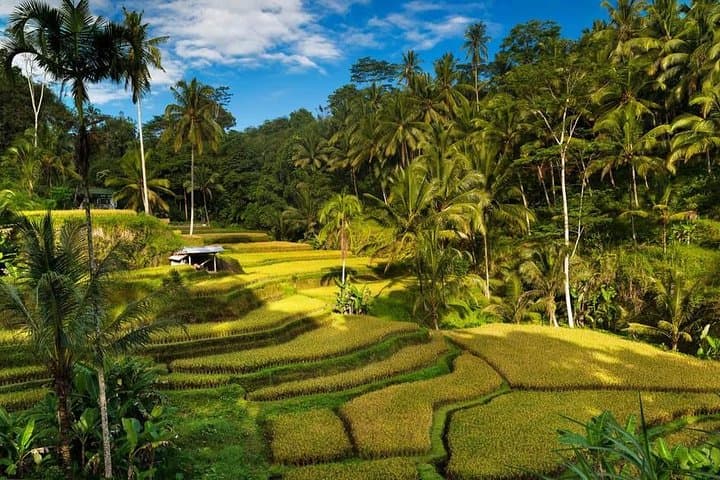 Exploring Bali in 3 Days: Discover All Bali's Highlights — photo 1 of 13