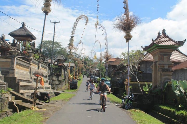 Ubud Cycling private tour — photo 1 of 13