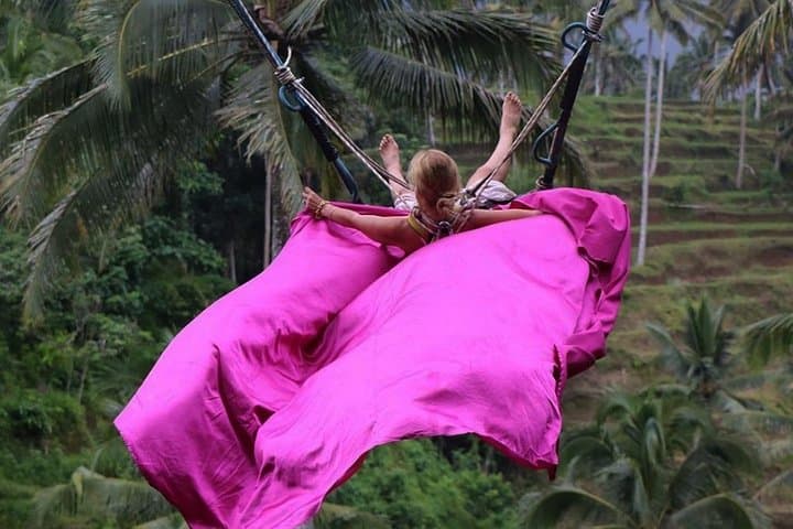 Bali Jungle Swing, Ubud Art Market & Puri Saren with Japanese Speaking Guide — photo 1 of 8