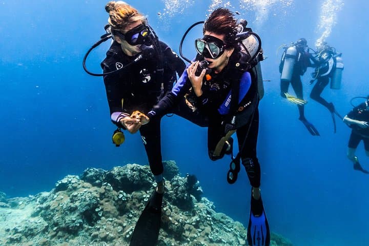 Discover Scuba Diving in Tulamben - Diving Initiation in Bali best diving sites — photo 1 of 25