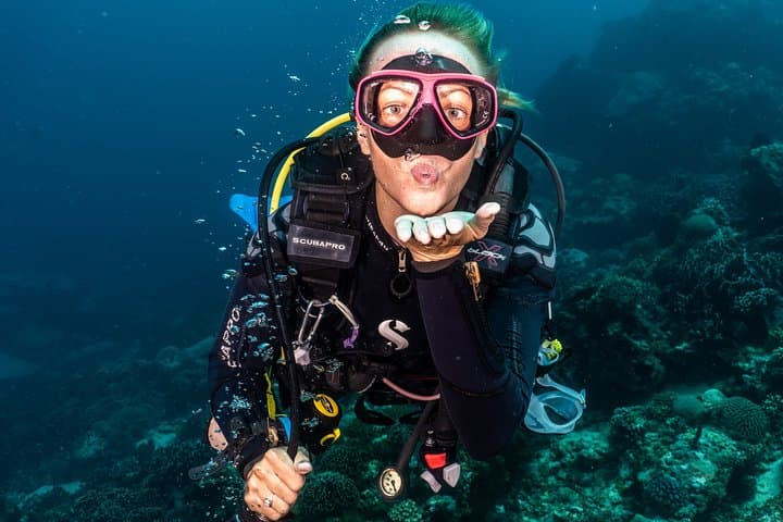 5 Fun Dives in Pemuteran (for certified divers) - Exploration in Menjangan Park — photo 1 of 35
