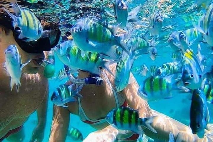 Bali Snorkeling at Blue Lagoon beach all inluded — photo 1 of 38