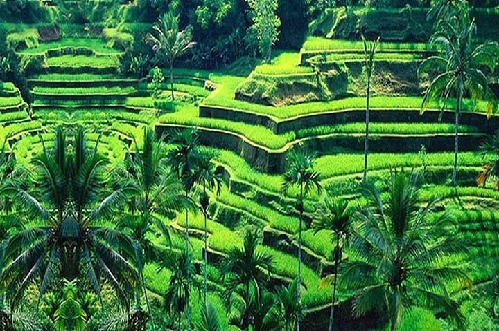 Guided Full-Day Tours to the Amazing Attractions in Bali — photo 1 of 21