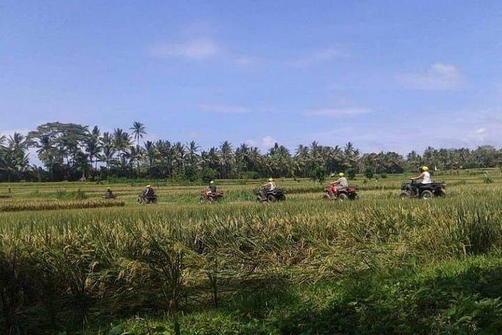 Best Bali ATV Ubud Tour Include Return tranport — photo 1 of 26
