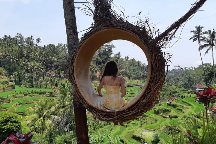 Best Of Ubud All Inclusive Tour, Waterfall,Rice Terrace and Temple — photo 1 of 16