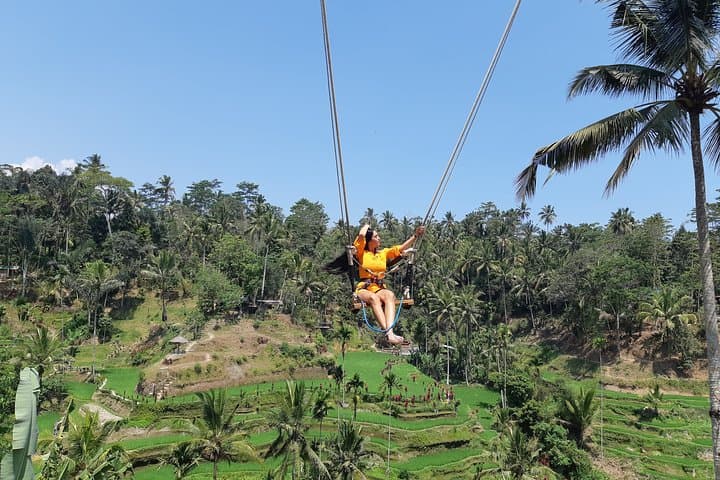 Ubud Swing, Water Temple and Waterfall Tour — photo 1 of 10