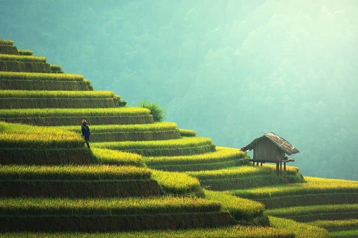 Private Guided Romantic Walking Tour of Bali — photo 1 of 6
