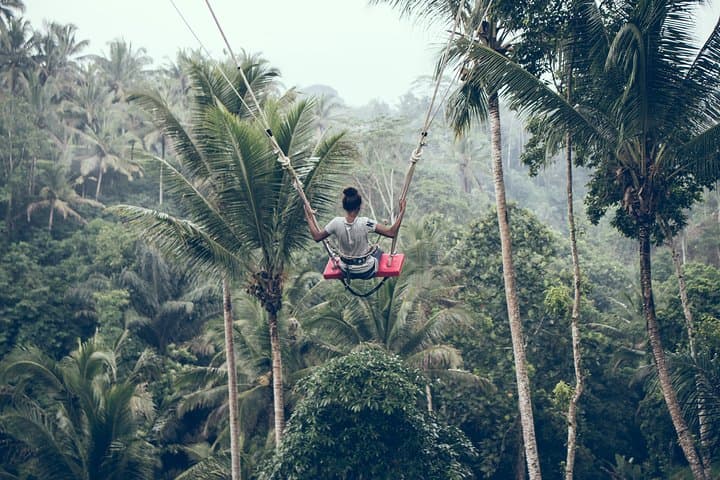 Best of Ubud with Jungle Swing Tour — photo 1 of 8