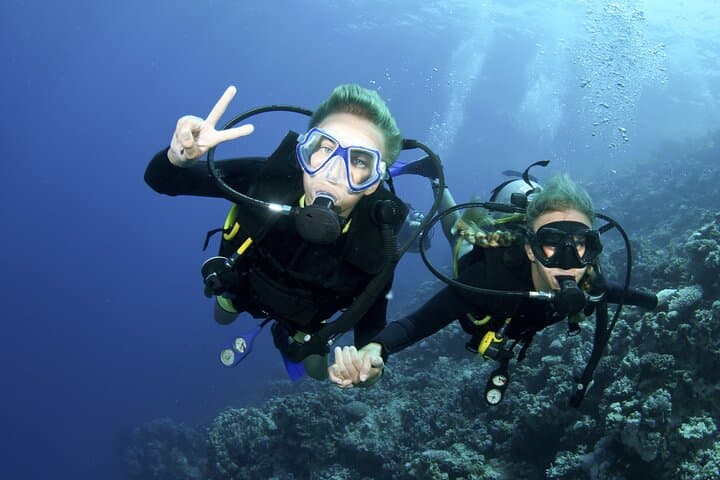 Introduction into diving (half day, 2 dives, no cert) — photo 1 of 5