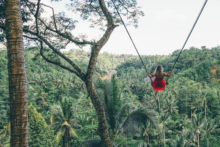 Best of Ubud: Private All-Inclusive Tour with Jungle Swing — photo 1 of 11