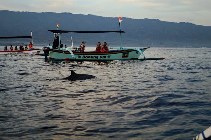 Lovina Dolphin Watching, Snorkeling and Waterfall Tour in Bali — photo 1 of 6