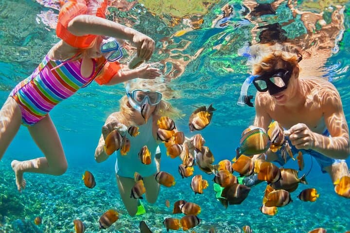 Blue Lagoon Snorkeling - Cave Waterfall - And More - All Included + FREE Wi-Fi — photo 1 of 6