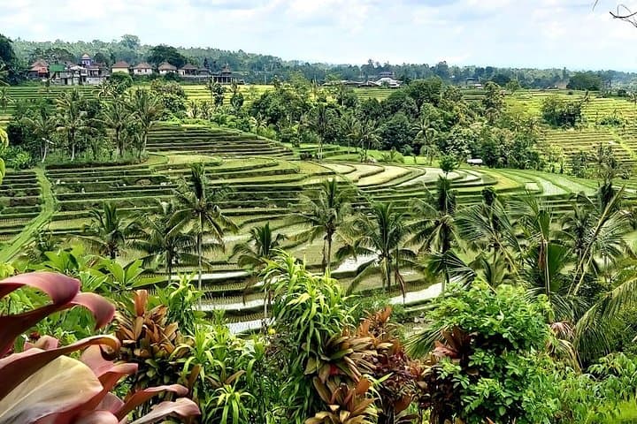 Tanah Lot and Jatiluwih Unesco Rice Terrace Private Tour — photo 1 of 7