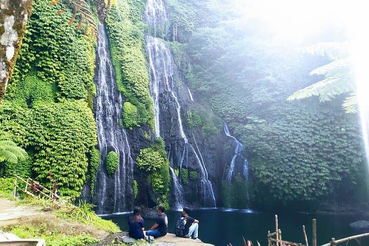 Unforgettable Tour Lovina See Dolphin And Banyumala Waterfall — photo 1 of 12
