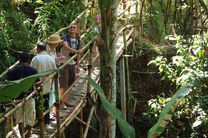 Eco Walk in Green Bali: Nature & Herbal Trails near Ubud — photo 1 of 6
