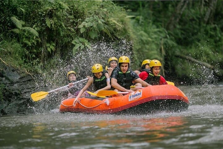 COMBO PACKAGE: Ayung River Rafting and Ubud Tour — photo 1 of 6