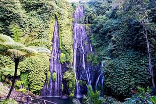 Exclusive Day Tour Waterfalls in Bali