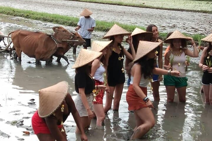Experience Local Life Tour in Traditional Balinese Village — photo 1 of 8