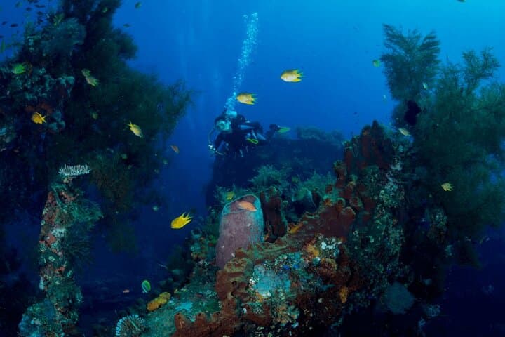 Bali: Tulamben Scuba Diving at USS Liberty Shipwreck — photo 1 of 2