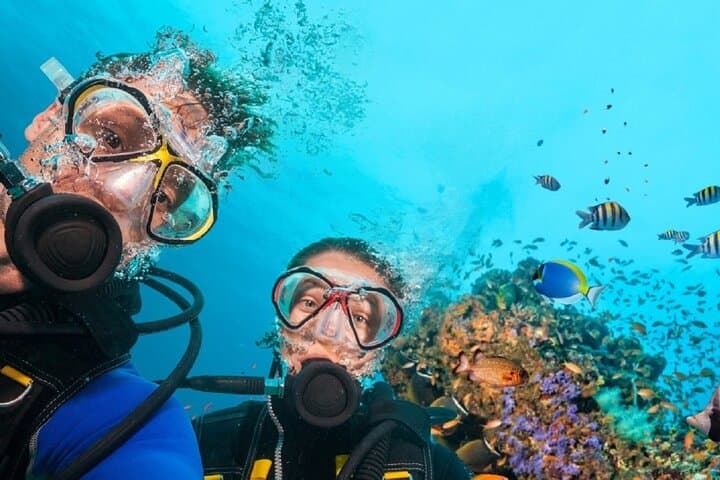 Full Day Fun Diving at Tulamben All inclusive — photo 1 of 8