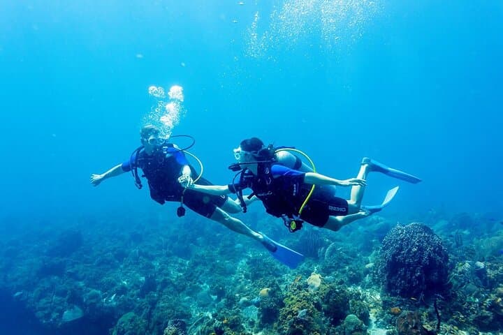 Tulamben Private Fun Dive for Certified Diver at Shipwreck and Coral Garden — photo 1 of 11
