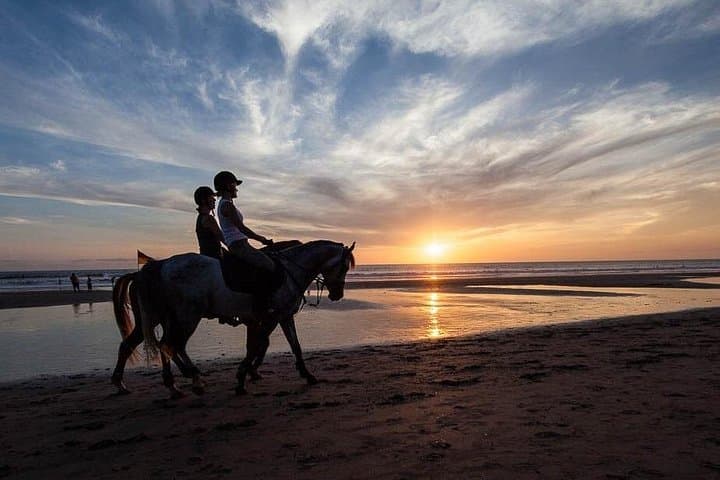 Horse Riding on the Black Sand Beach and Free Hotel Transfers — photo 1 of 6