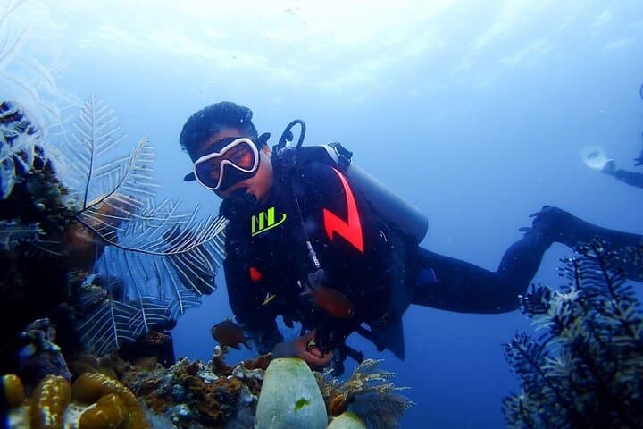 Bali Full Day Experience Scuba Diving Tour at Tulamben — photo 1 of 7