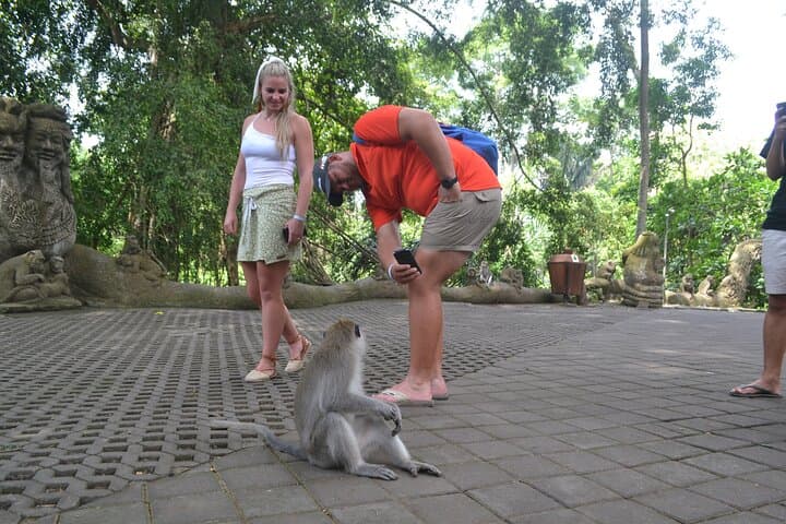Ubud Highlights Tour – Monkey Forest, Rice Terrace & Waterfall — photo 1 of 19