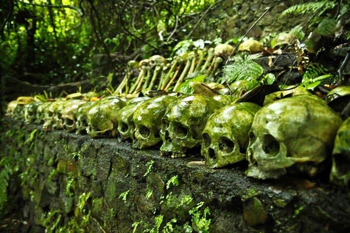 Trunyan Cemetery, Hot Spring, Penglipuran Village, and Waterfall Tour — photo 1 of 10