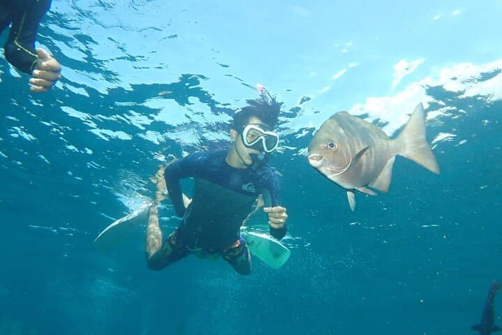 Tulamben Snorkeling in USAT Liberty Shipwreck Karangasem Bali — photo 1 of 7