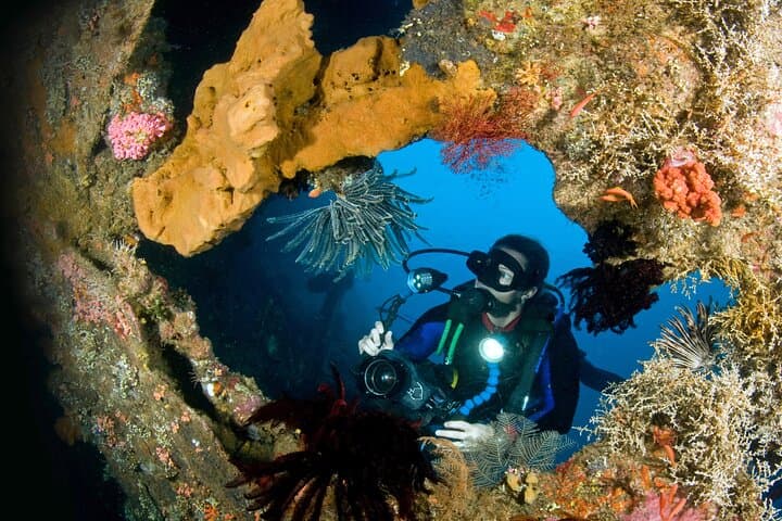 Day Trip for certified divers - 2 or 3 Dives in Tulamben (pick up in South Bali) — photo 1 of 6