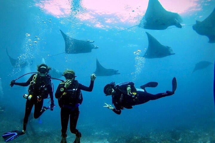 3 Epic Dives in Nusa Penida - Certified Divers' Day Trip — photo 1 of 7