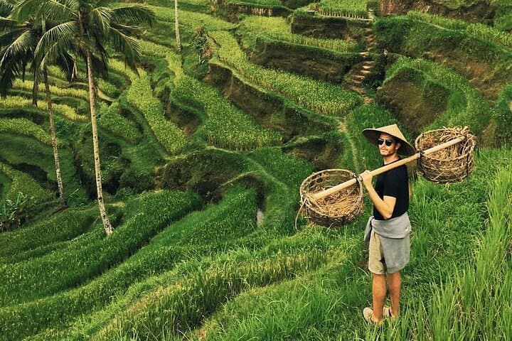 Ubud Jungle Swing - Monkey Forest - Water Temple - Waterfall — photo 1 of 27