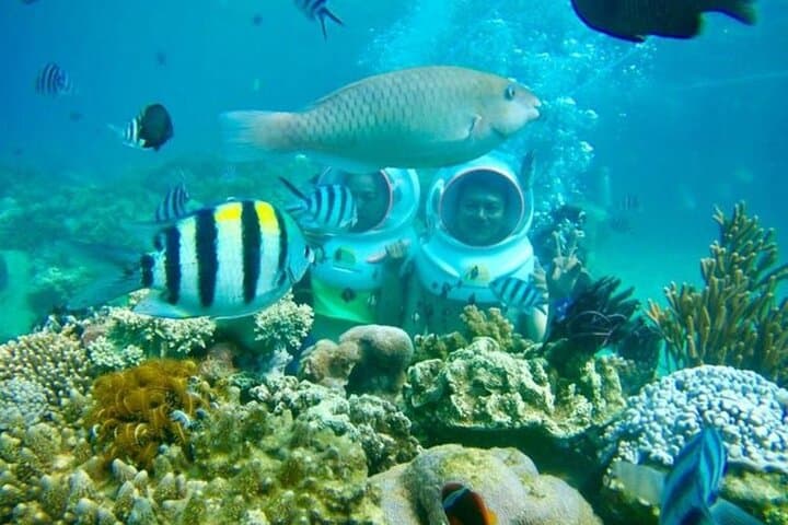 Bali Sea Walker — photo 1 of 6