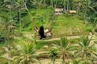 Ubud Monkey Forest Rice Terrace Tirta Empul Private Guided Tour