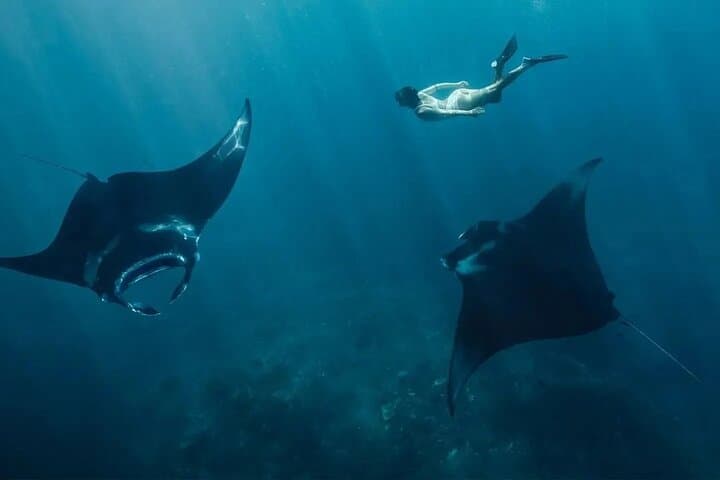 Nusa Penida Snorkeling Manta Rays & Land Tour West All Inclusive — photo 1 of 28