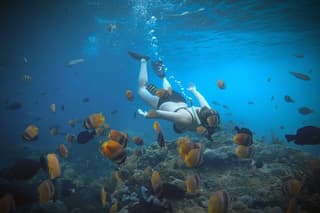 Private Snorkeling Manta Point & Land Tour, Start at Nusa Penida