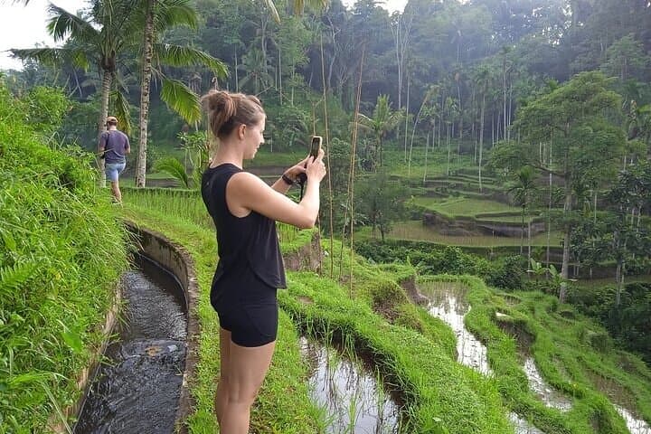 Best of Ubud - Ubud Tour Popular - All Inclusive — photo 1 of 23