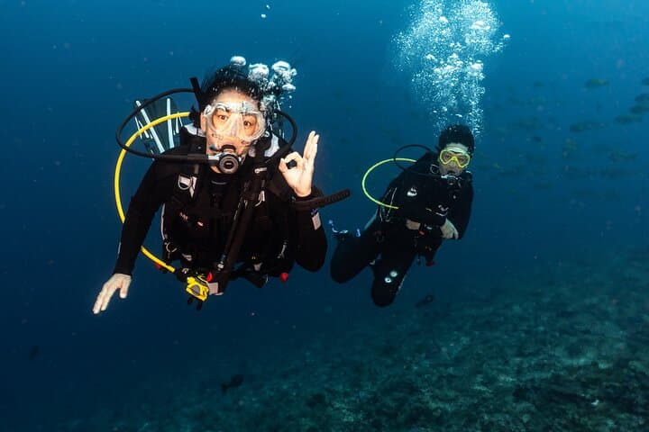 Full-Day Discover Scuba Diving Tour for Beginners in Tulamben — photo 1 of 28